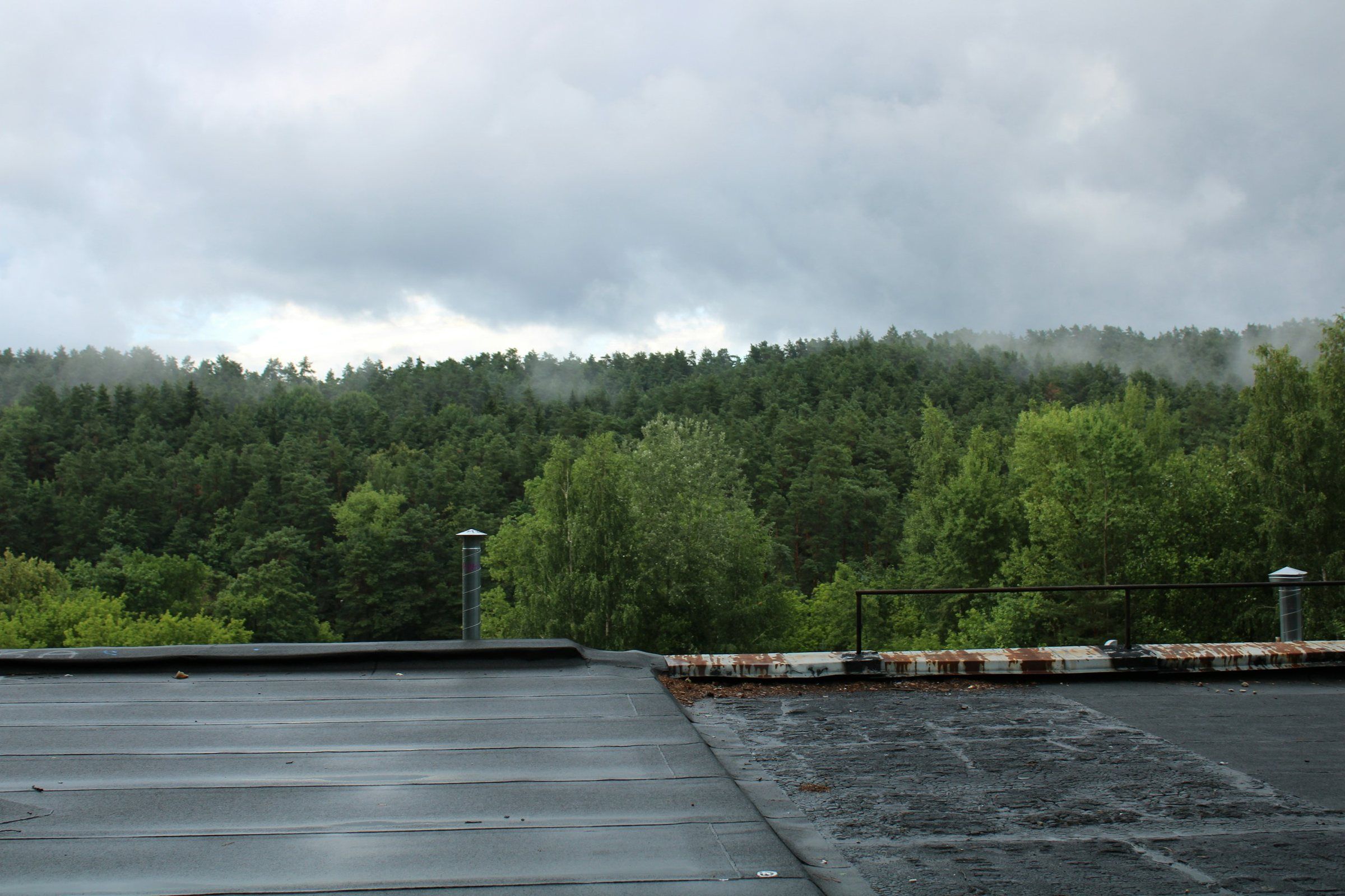 Flat roof covered in rolled bitumen sheets with a weathered metal edge, overlooking a forest